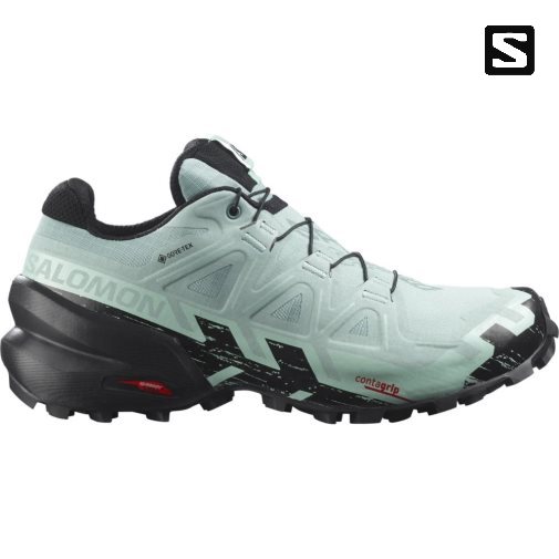 Salomon Speedcross 6 GTX Women's Trail Running Shoes Mint | CA 40I12